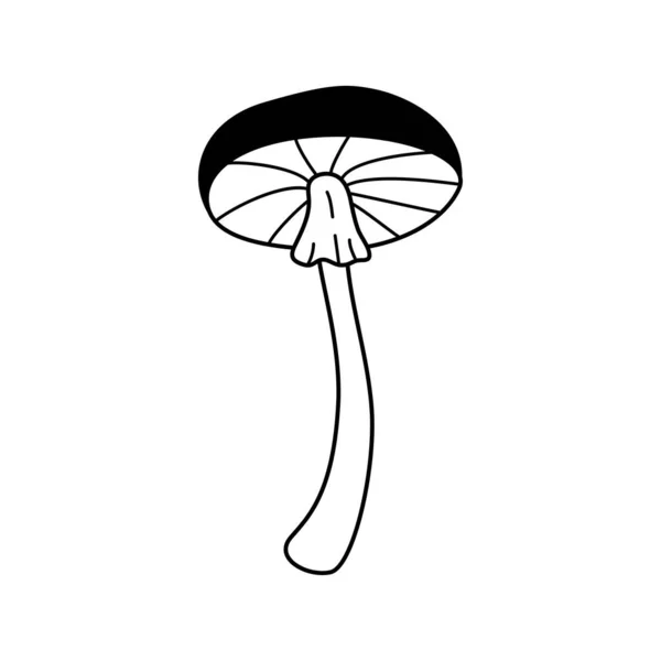Doodle Mushroom Icon Hand Drawn Sketch Linear Vector Illustration Black — Vector de stock