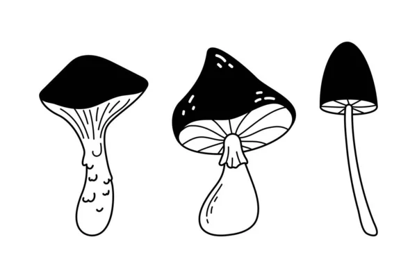 Doodle Forest Mushrooms Collection Hand Drawn Sketch Linear Vector Illustration — Vector de stock