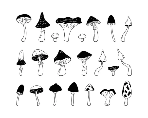 Grande Collection Champignons Forêt Esquisse Dessinée Main Illustration Vectorielle Linéaire — Image vectorielle