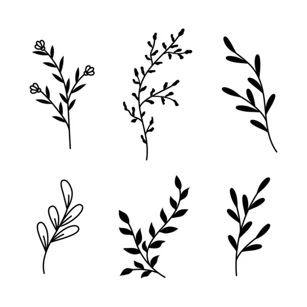 Vektorové Ilustrace Větví Listů Ručně Kreslené Černé Květinové Prvky Pro — Stockový vektor