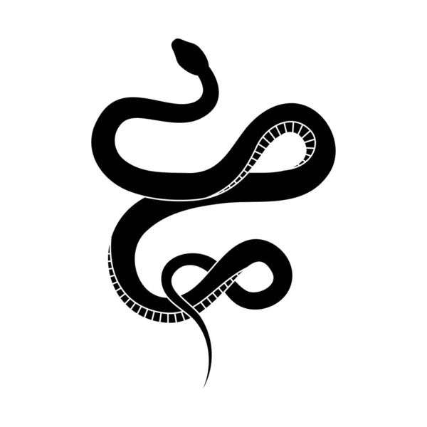 Serpent Silhouette Noire Symbole Reptile Isolé Icône Faune Serpent Sur Graphismes Vectoriels