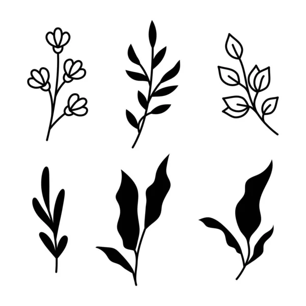 Ilustraciones Vectoriales Ramas Hojas Elementos Florales Negros Dibujados Mano Para — Vector de stock