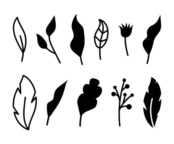 Ilustraciones Vectoriales Ramas Flores Hojas Elementos Florales Negros Dibujados Mano — Vector de stock