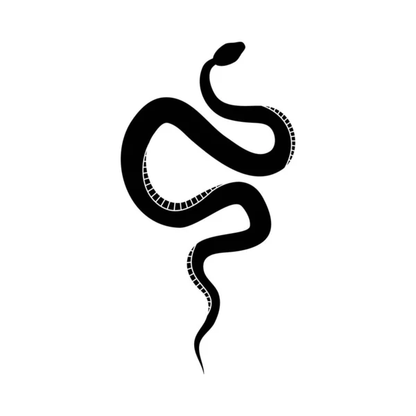 Чёрный Силуэт Змеи Изолированный Символ Рептилии Иконка Дикой Природы Змея Векторная Графика