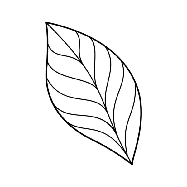 Ručně Tažený List Prvek Návrhu Květinové Zahrady Doodle Ekologický Koncept — Stockový vektor