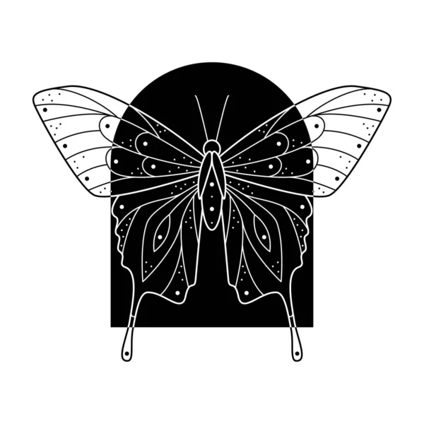 アーチ型のフレームに黒と白の蝶のスタイル 手描きの線画がベクトルイラストを並べました 入れ墨やMakhenda 本のカバー Tシャツの印刷 ポスターやカードのための自然なデザイン — ストックベクタ