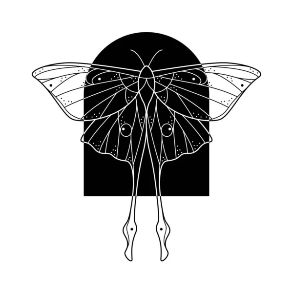Moth Lunaire Géométrique Forme Arc Résumé Géométrie Mystique Papillon Illustration — Image vectorielle