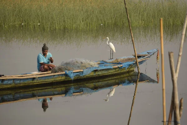 Chilika Lake Rambha Odisha India Marca 2022 Żeglarz Poszukujący Sieci — Zdjęcie stockowe