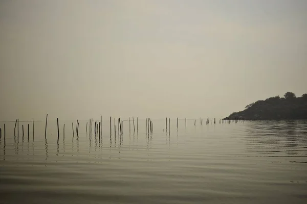 Rozległy Zbiornik Wodny Jeziora Chilika Widokiem Wyspę Ptaków Rambha Odisha — Zdjęcie stockowe