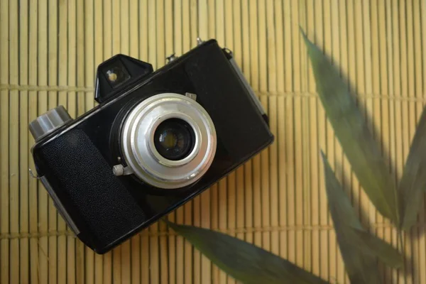 Vecchia Fotocamera Presentazione Concetto Con Natura Ispirata Sfondo — Foto Stock