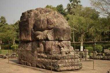 Konark, Odisha, Hindistan - 17 Mart 2022: Konark Güneş Tapınağı 'nda arkeolojik kalıntılar olarak korunan çürümüş hayvan yapıları