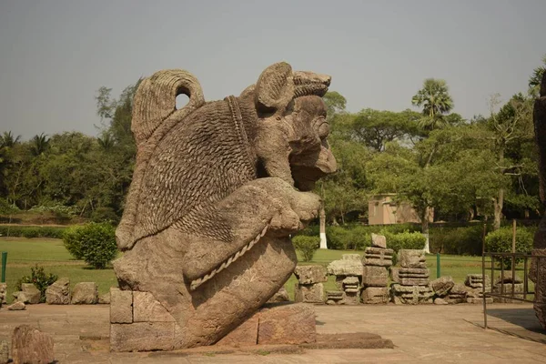 Konark Odisha Índia Março 2022 Atacando Estátua Leão Preservada Dentro — Fotografia de Stock