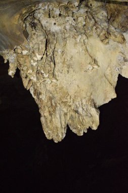 Kanger Valley Ulusal Parkı 'ndaki Kotumbsar mağarasında sarkıt oluşumu, Chattisgarh