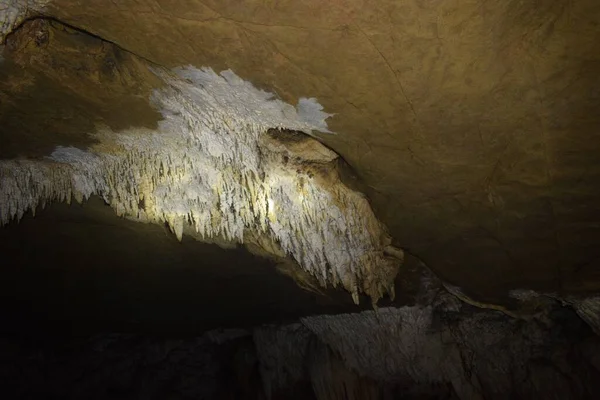 Tropfsteinbildung Der Decke Der Kailash Höhle Hängend Baster Chattisgarh Indien — Stockfoto