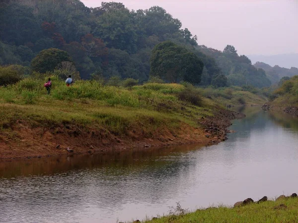 Periyar Kerala India Ledna 2005 Úsek Jezera Uvnitř Hustého Lesa — Stock fotografie