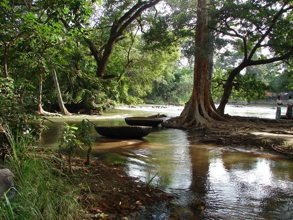Kaveri River Streams Flowing Forest Floor — ストック写真