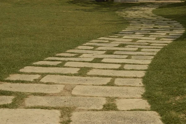 Тротуар Травянистой Лужайке — стоковое фото