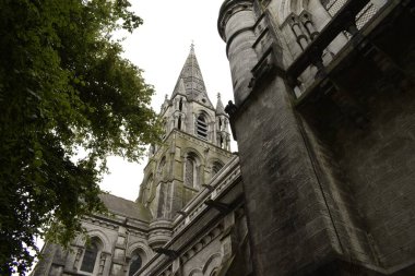 St. Fin Barre Katedrali 'nin ön cephesi ağaçların arasında