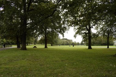 Ormeau Park, Belfast, Kuzey İrlanda ve Birleşik Krallık 'ın içinde bol ağaçlı geniş çimen alanları. 
