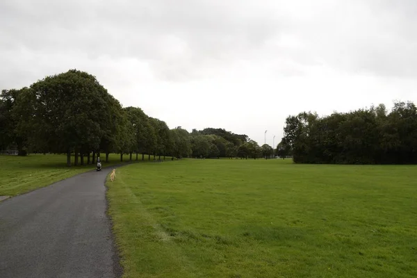 path through the grassy patch to the treeline at ormeau park, belfast, northern ireland, united kingdom