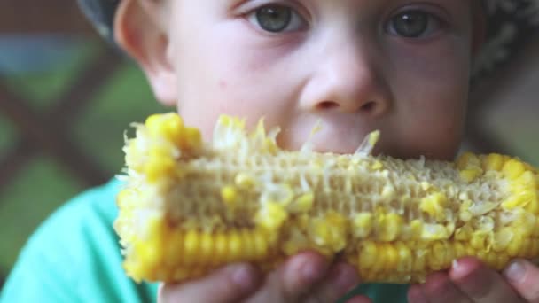 Portrét kavkazské dítě chlapec zelené oči jíst sladké kukuřice cob venku v parku — Stock video