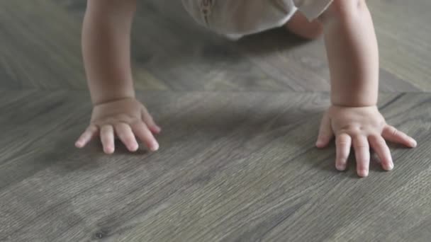 Tiny little hands fingers of caucasian baby infant crawling on the wooden floor — Stock Video