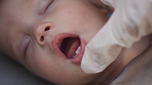 Médicos mãos verificar dormir bebê bebê primeira dentição leite dentição gengiva — Vídeo de Stock