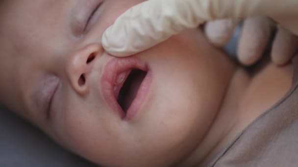 Médicos mãos verificar dormir bebê bebê primeira dentição leite dentição gengiva — Vídeo de Stock