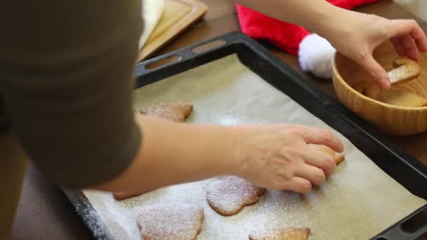 Hand dekorieren Lebkuchen weißes Zuckerpulver Weihnachtstradition Lebensmittel — Stockvideo