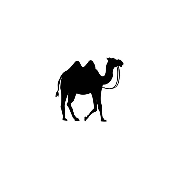 Значок Верблюда Черном Белом Фоне Вектор — стоковый вектор