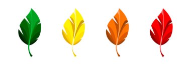 Beyaz bir arka plan üzerinde sonbahar yaprakları kümesi.