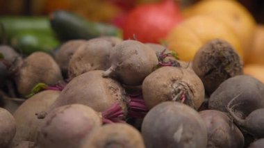 Taze toplanmış kırmızı pancarlar. 