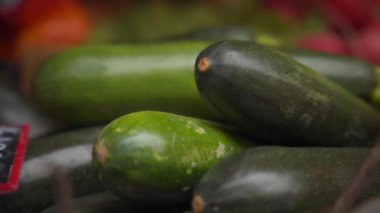 Taze toplanmış kabak. 