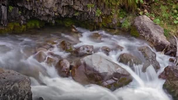 Timelapse de arroyo fluye a través de piedras — Vídeo de stock