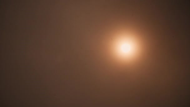 Лесной пожар дым и пепел поднимаются в небо — стоковое видео