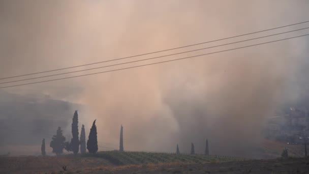 Le champ brûlant est en feu — Video