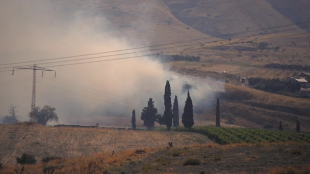 Une épaisse fumée sombre s'élève au-dessus du champ — Video