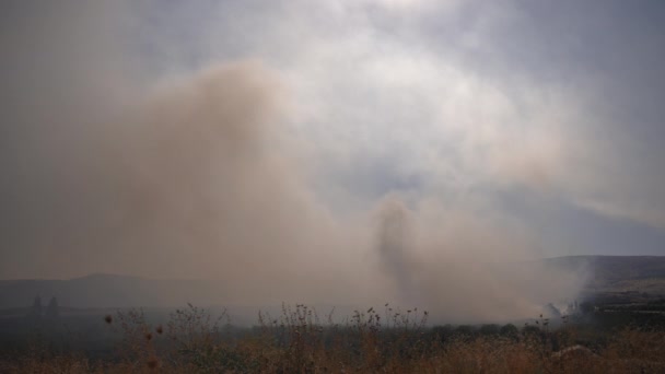 Rook stijgt boven het brandende veld uit — Stockvideo