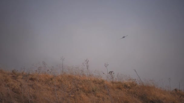 Avión volando sobre el campo de hierba — Vídeos de Stock