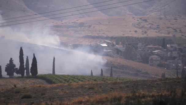 Flammes de feu se propageant dans les feux de forêt — Video