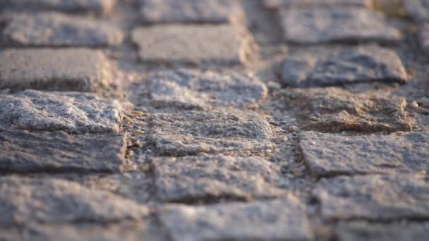 Les gens ombres sur fond de promenade en pierre — Video