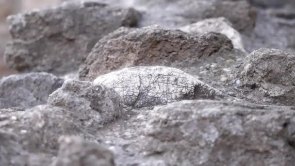 Close up de grandes pedras antigas. — Vídeo de Stock