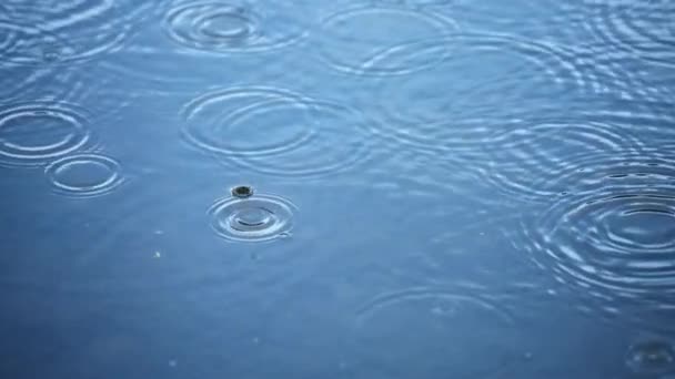 Супер медленное движение колеблющихся дождевых капель — стоковое видео