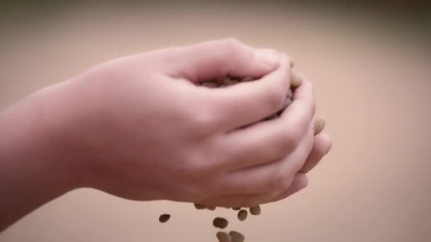 卵石从妇女手中脱落 — 图库视频影像