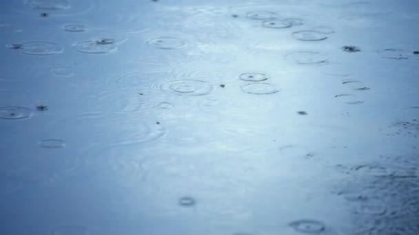 Падіння дощу падає на поверхню блакитної води — стокове відео