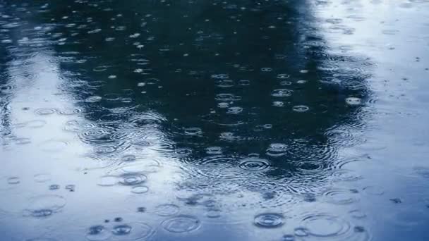 蓝湖水面的雨滴 — 图库视频影像