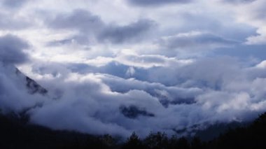 Kalın beyaz bulutlar çam ormanlarını kaplıyor