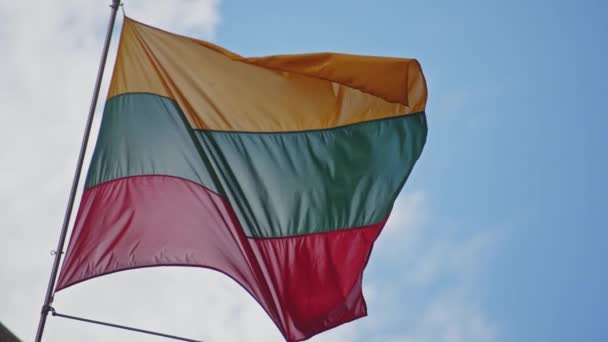 Flag of Lithuania waving at wind — Stock Video