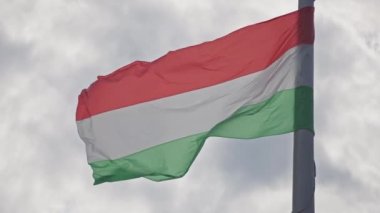 Rüzgarda sallanan Macaristan bayrağı