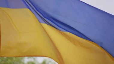 Rüzgarda sallayarak Ukrayna bayrağı